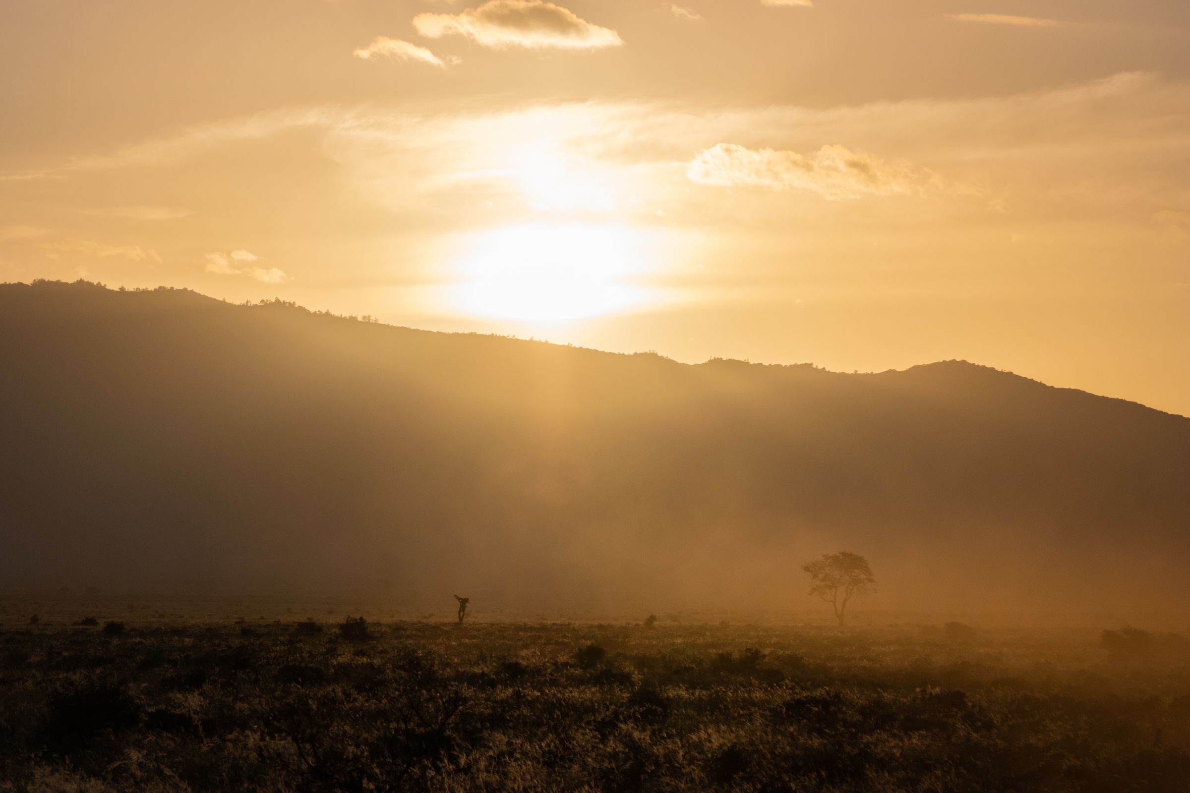 Sunset haze over the hills of Tsavo, Kenya, with a lone tree on the plain.